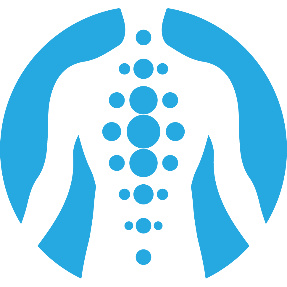 Chiropractor Trinity Fl
